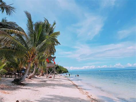 best beach near cebu city|7 Gorgeous Beaches Near Cebu For An Unusual Philippines Vacay.